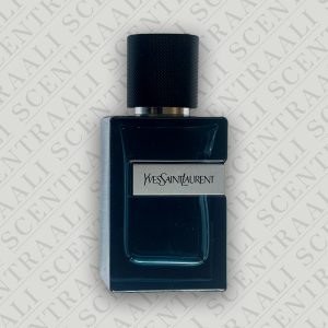 YSL Y EDP Intense